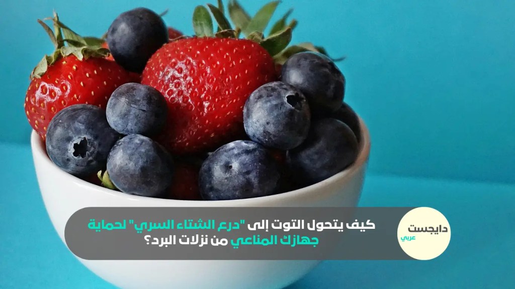 كيف يتحول التوت إلى “درع الشتاء السري” لحماية جهاز المناعة من نزلات البرد؟